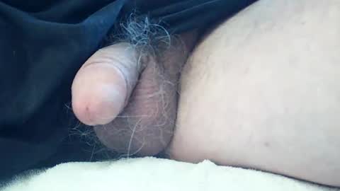 neohiom4f online show from 04.01.26