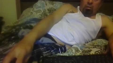 Nerfylil online show from 04.14.26