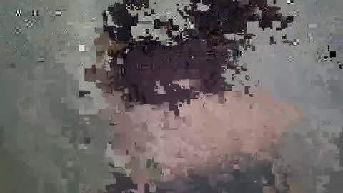 Snapshot of nesty_doll chatting on 03.18.26 Anastasia online show from 03.18.26