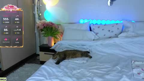 Snapshot of nevergiveup_1 chatting on 03.17.26 never give up online show from 03.17.26