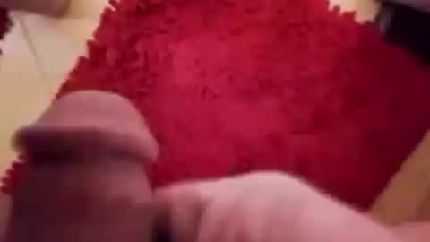 BookWriter online show from 12.12.24