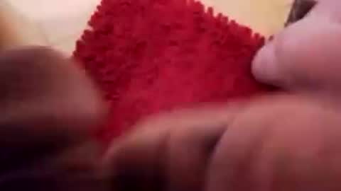 BookWriter online show from 12.13.24