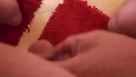 BookWriter online show from 12.29.24