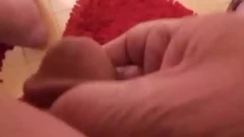 BookWriter online show from 01.11.25