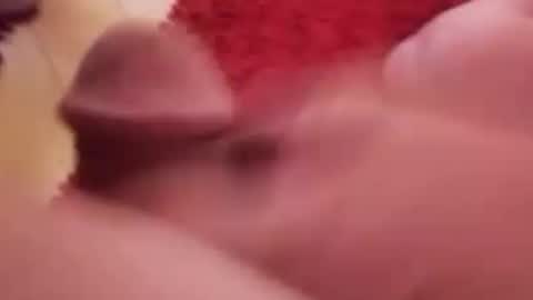 BookWriter online show from 01.14.25