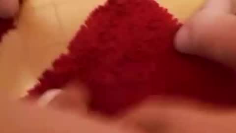 BookWriter online show from 02.17.25