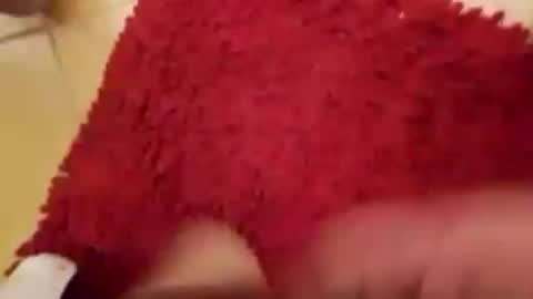 BookWriter online show from 09.14.25