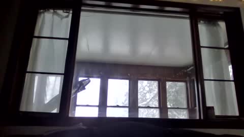 Snapshot of newguy81240 chatting on 01.23.25 Newguy81240 online show from 01.23.25