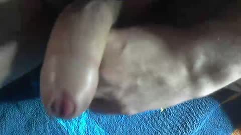 Snapshot of ni983 chatting on 12.19.24 ni983 online show from 12.19.24