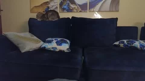 Lilly online show from 02.22.25