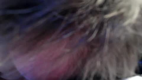 Jan online show from 07.11.26