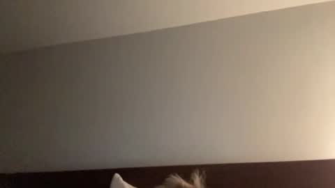 Nice Gentle Naughty online show from 12.13.24