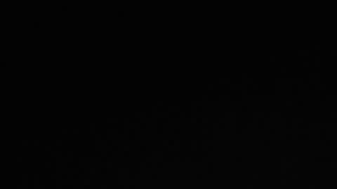 Robin online show from 02.03.25