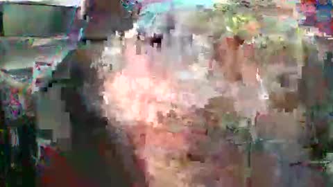 Snapshot of nicholaastavrou1977066464511s chatting on 02.16.26 nick stavrou online show from 02.16.26