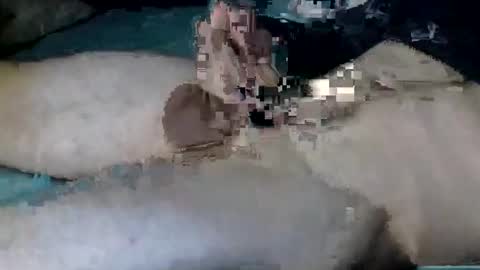 Nick online show from 10.12.25