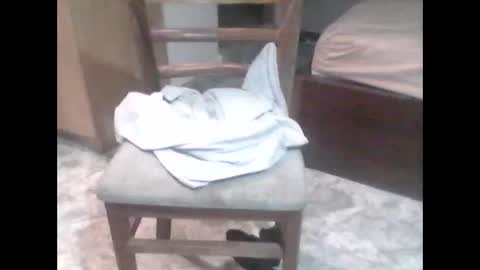 TheCock online show from 02.07.26