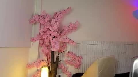 nicole_diaz7 online show from 12.01.25