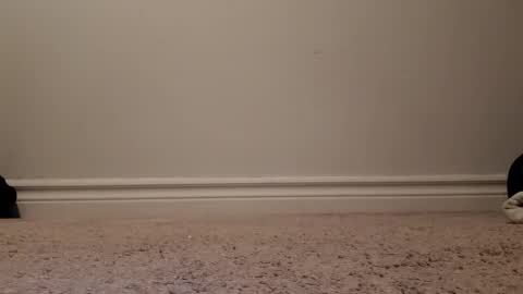 nicoleandbrian online show from 12.31.24