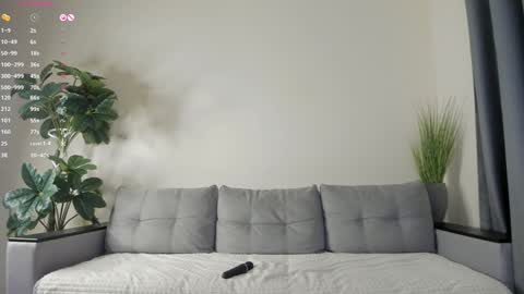 Dua Lipa online show from 01.24.25