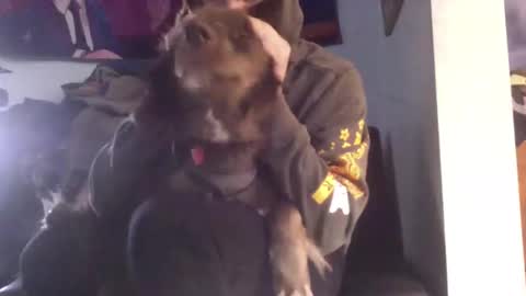 NicxDick online show from 01.06.25