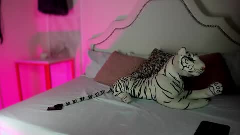 Snapshot of niicole_garnerr chatting on 02.05.26 nicole online show from 02.05.26