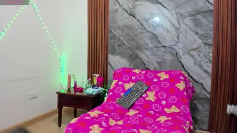 Snapshot of nikitaa20 chatting on 02.19.26 nikita online show from 02.19.26