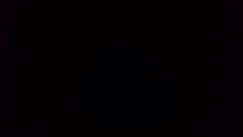 niknik39 online show from 11.12.25