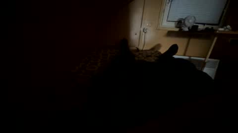 Nikk online show from 09.20.25