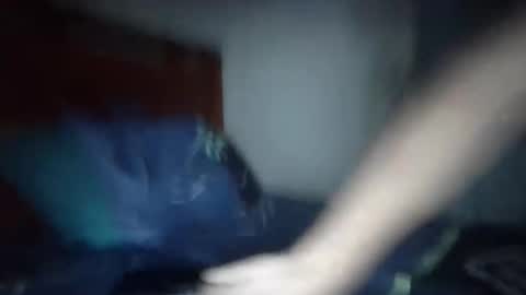 Niko online show from 04.11.26