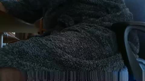 Snapshot of nineinchhard chatting on 03.04.25 nineinchhard online show from 03.04.25