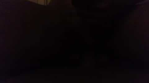 Ninjadance online show from 10.08.25