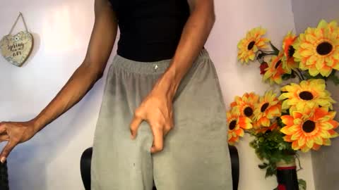 Snapshot of noah_miller7 chatting on 01.23.25 Noah Millers online show from 01.23.25