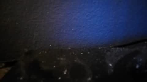 Snapshot of nocycle000 chatting on 09.14.25 Nocycle000 online show from 09.14.25