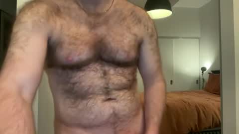 No Plan online show from 01.08.26