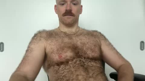 No Plan online show from 01.08.26