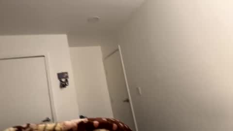 se le perdio algo perra hp online show from 12.06.24