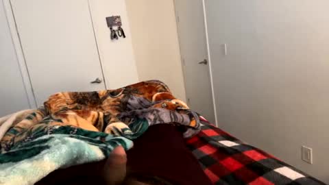 se le perdio algo perra hp online show from 01.02.25