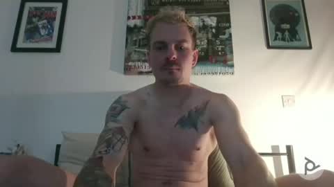 Not Another XXX Webcam online show from 03.12.26