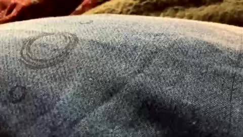 DarqLight online show from 12.19.24