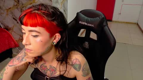 Nova kitty tx online show from 02.20.26