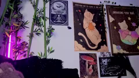   online show from 04.21.26