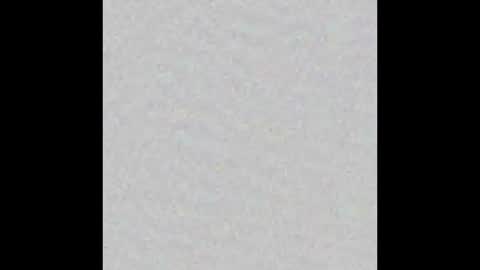 Obsidian stallion online show from 11.17.25