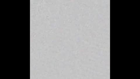 Obsidian stallion online show from 12.21.25