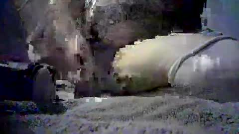 Just Some Guy Playing online show from 09.20.25