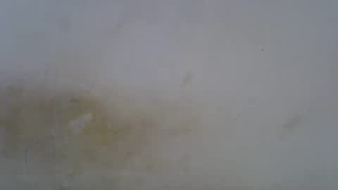Snapshot of oceanwavves chatting on 05.01.26 Paloma online show from 05.01.26
