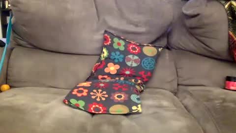 oggs48 online show from 11.15.25