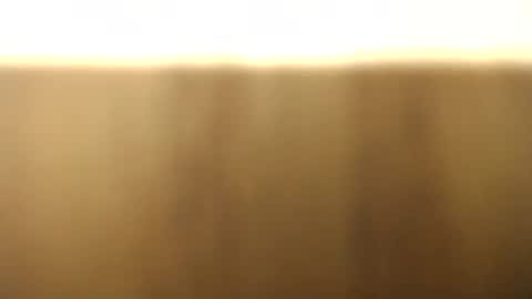 Snapshot of okoro1212 chatting on 11.28.25 okoro1212 online show from 11.28.25