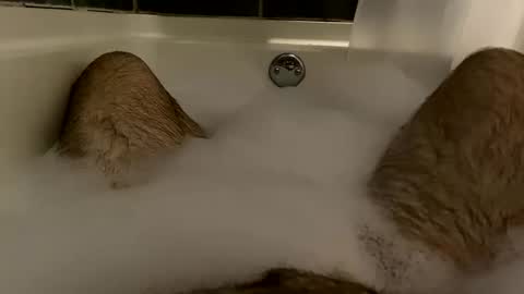 oldbones2 online show from 12.08.24