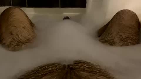 oldbones2 online show from 02.16.25