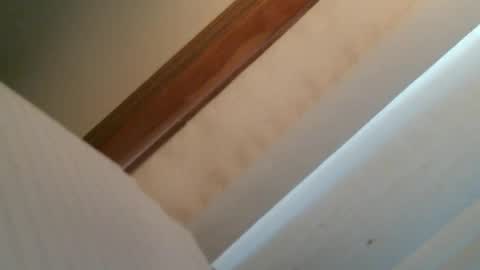 olddognewtrickss online show from 09.11.25